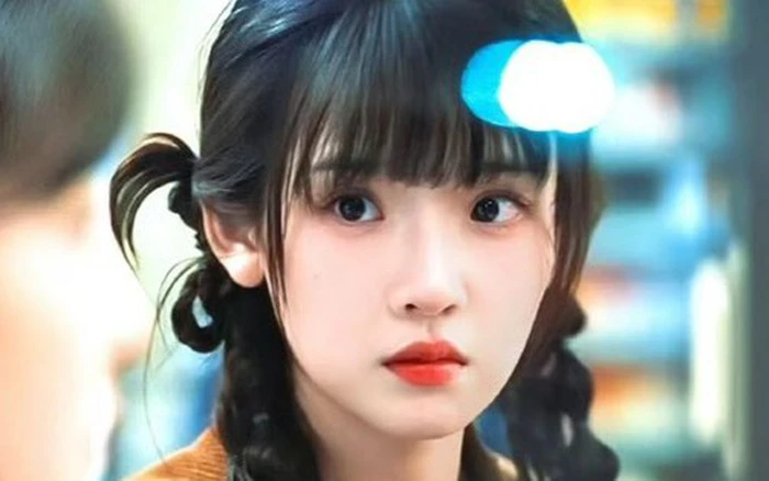 Tóm tắt sự nghiệp