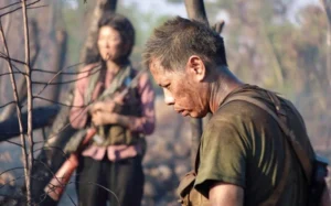 Giá trị của phim