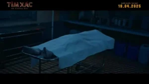 Doanh thu và hiệu ứng phòng vé